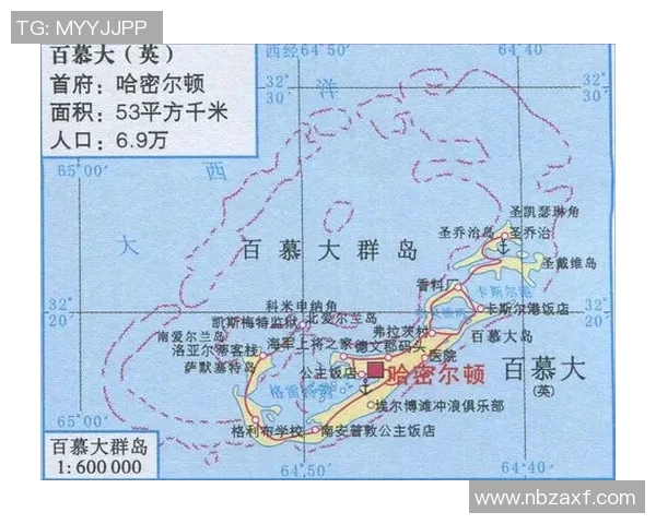哥斯达黎加与百慕达群岛精彩对决直播全程回顾与分析