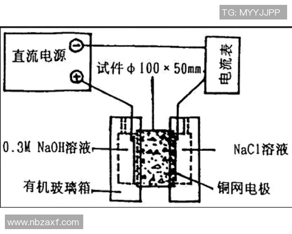 上海排球队边路渗透战术分析及其对比赛结果的影响探讨