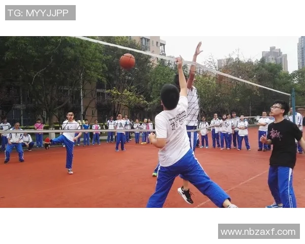 深圳排球队的成长之路：一段激情与拼搏交织的排球纪实故事