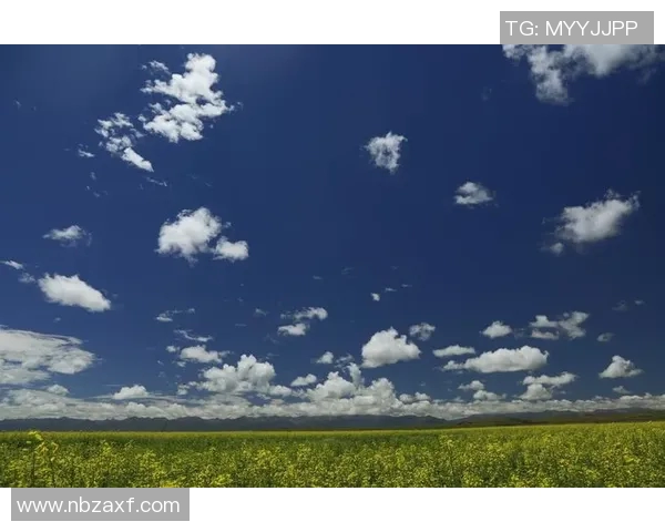 足球的灵魂之旅:深入探讨北京足球队的战术与精神内涵 足球的灵魂之旅:深入探讨北京足球队的战术与精神内涵