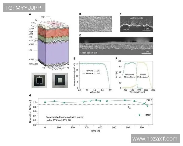 南京攀岩队速度对比分析探讨团队表现与训练策略的影响因素 南京攀岩队速度对比分析探讨团队表现与训练策略的影响因素
