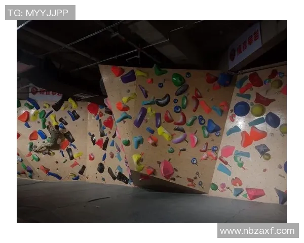 杭州攀岩队的成长之路极限运动嘉年华特别报道揭秘团队拼搏与梦想的故事